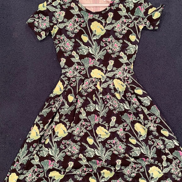 Lot of 8 like new and 1 nwt LULAROE Amelia XS - Picture 2 of 8